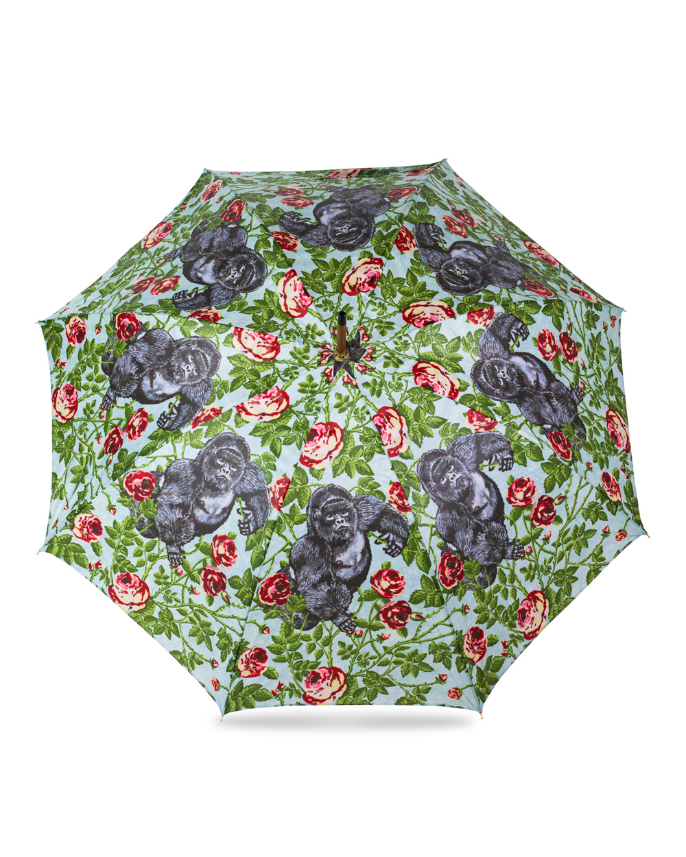 kingoftheroses_redrose_A