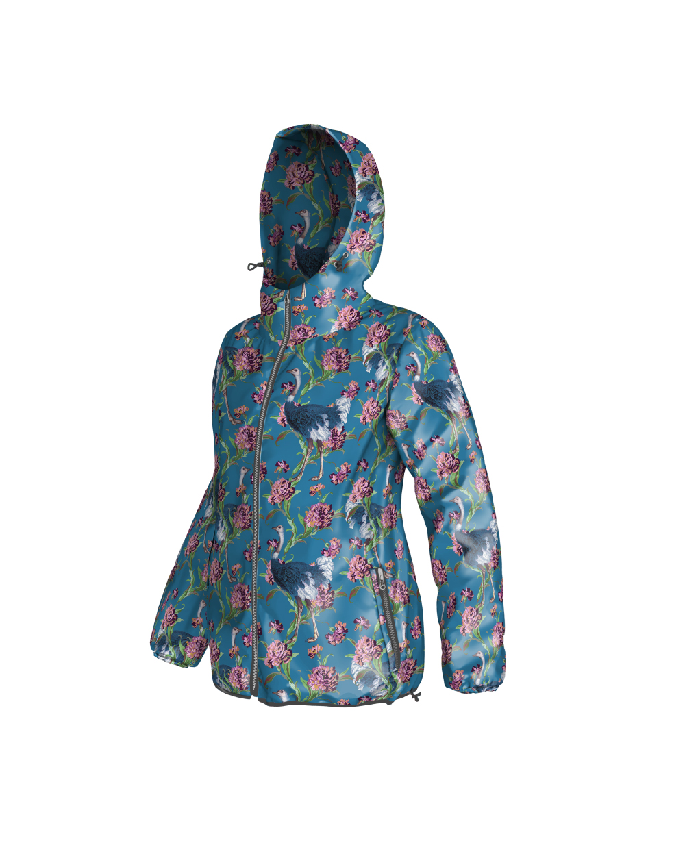 Ostriches-Ottanio023-4