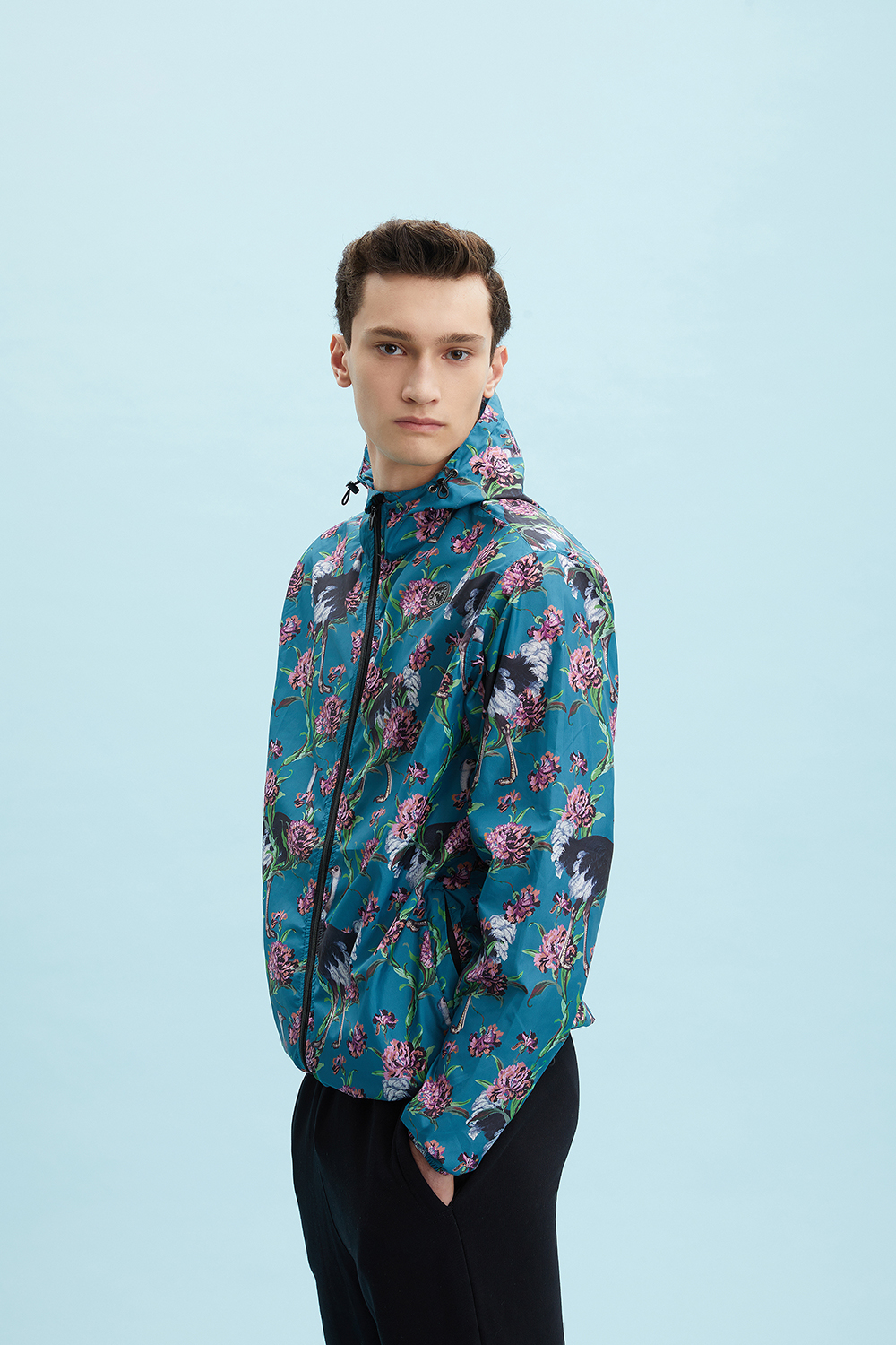 Ostriches-OttanioTeal_B