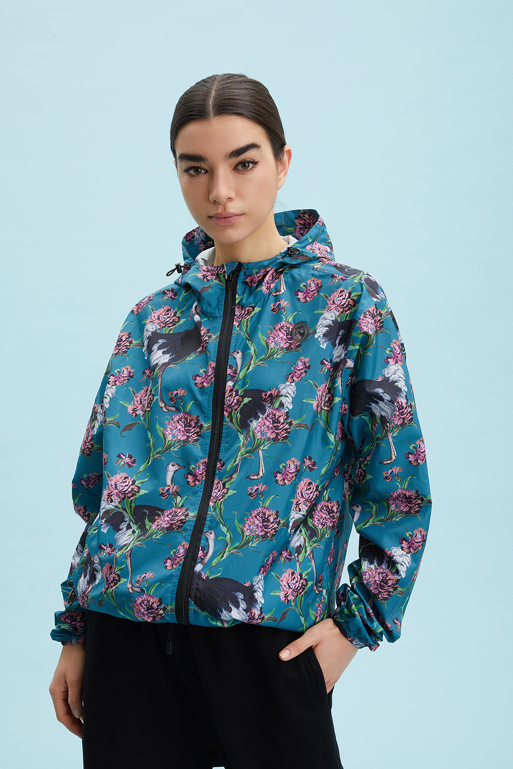 Ostriches-OttanioTeal_C