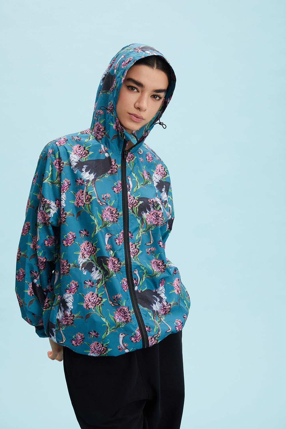 Ostriches-OttanioTeal_D