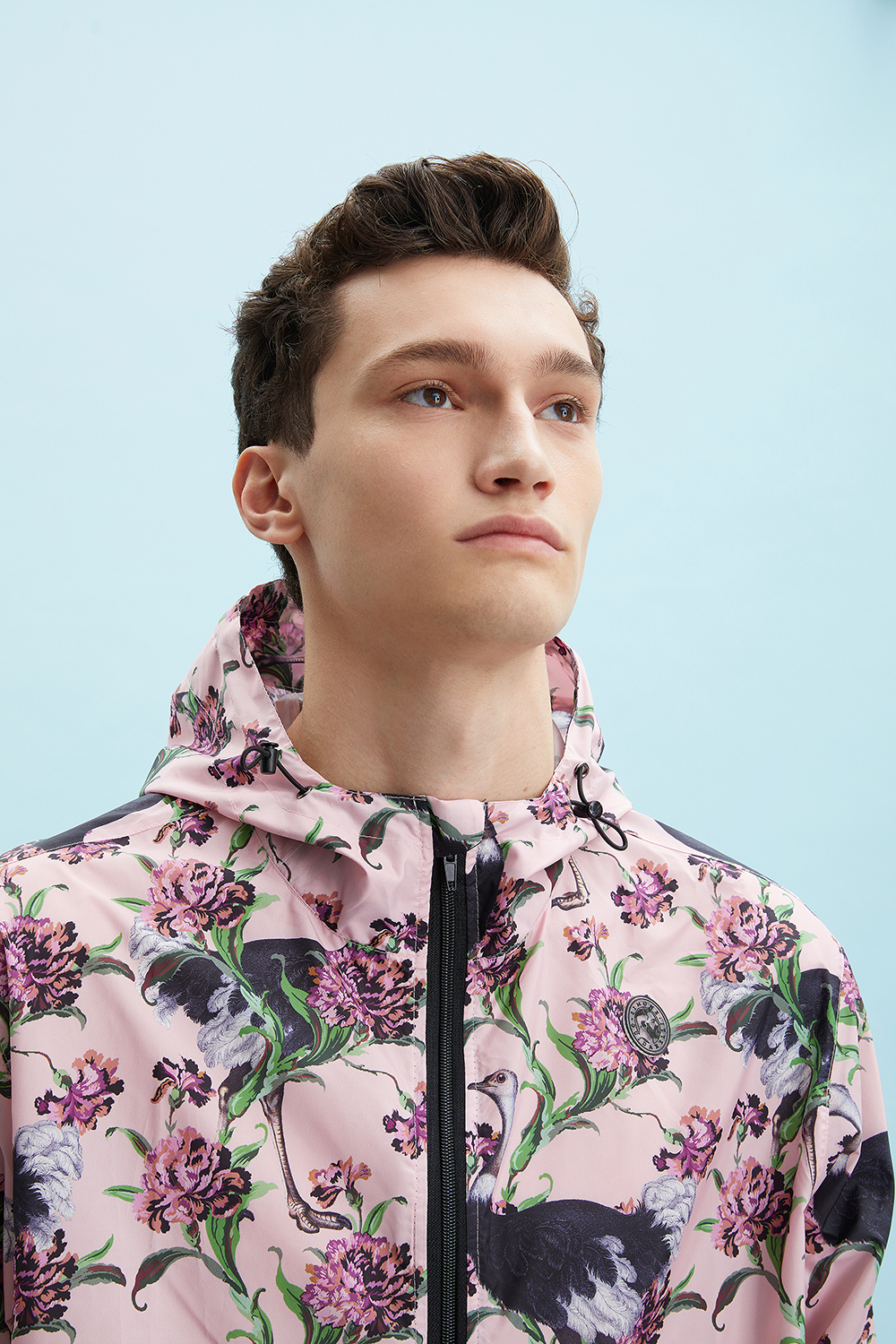 Ostriches-Powered Pink_C