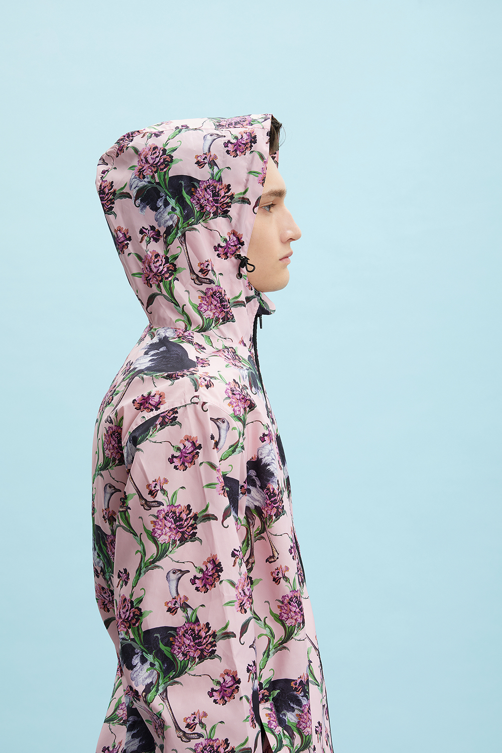 Ostriches-Powered Pink_D