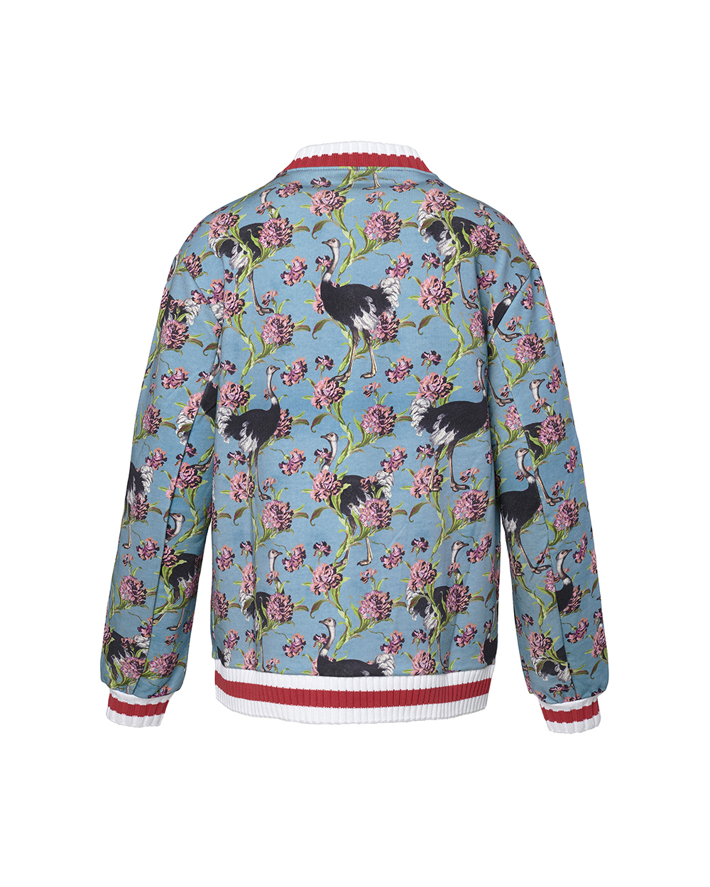 SG_JACKET_Ostriches_OttanioTeal_C