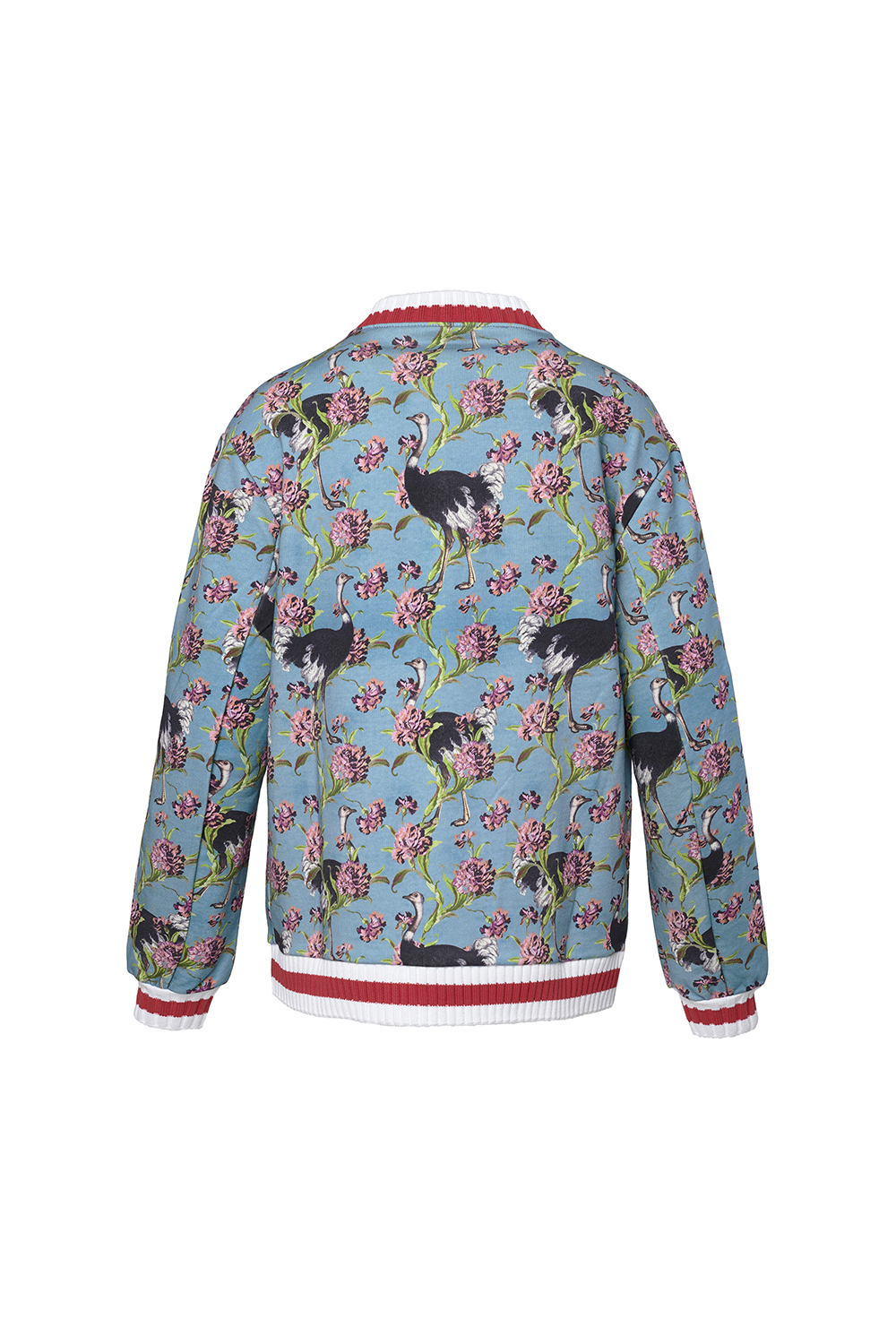 SG_JACKET_Ostriches_OttanioTeal_C