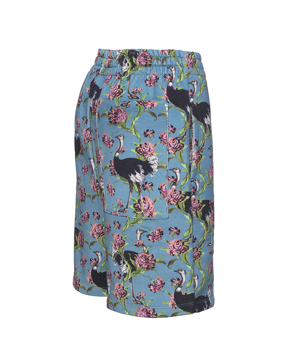 SG_SHORTS_Ostriches_OttanioTeal_B