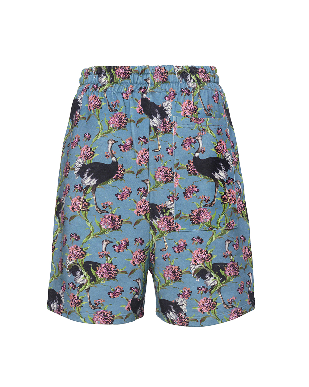 SG_SHORTS_Ostriches_OttanioTeal_C