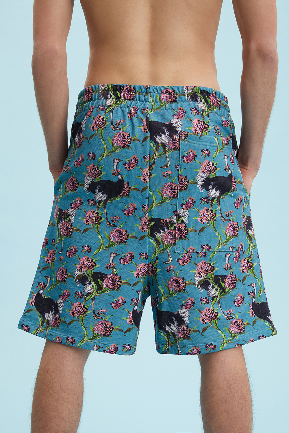 SG_SHORTS_Ostriches_OttanioTeal_E